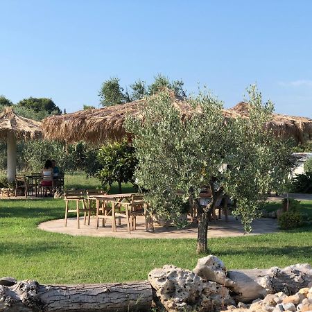 B&B Le Cicale Vieste Dış mekan fotoğraf