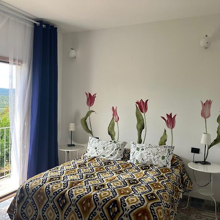 B&B Le Cicale Vieste Dış mekan fotoğraf