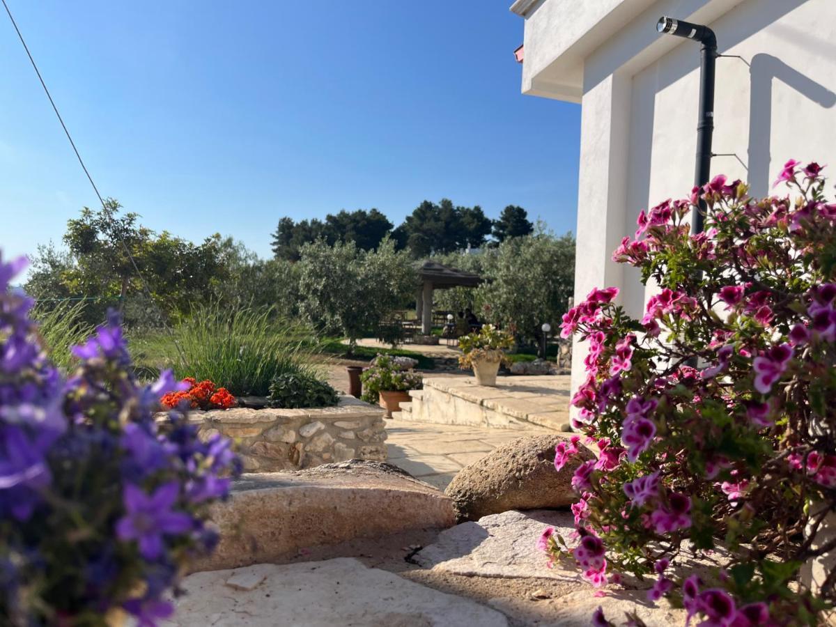 B&B Le Cicale Vieste Dış mekan fotoğraf