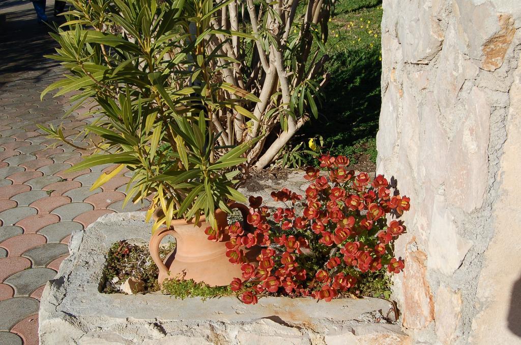 B&B Le Cicale Vieste Dış mekan fotoğraf