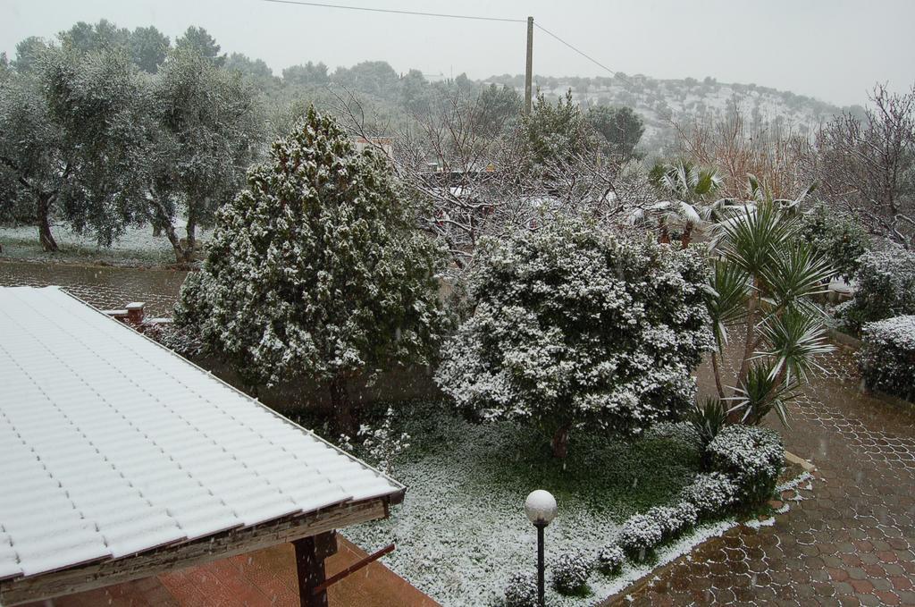 B&B Le Cicale Vieste Dış mekan fotoğraf