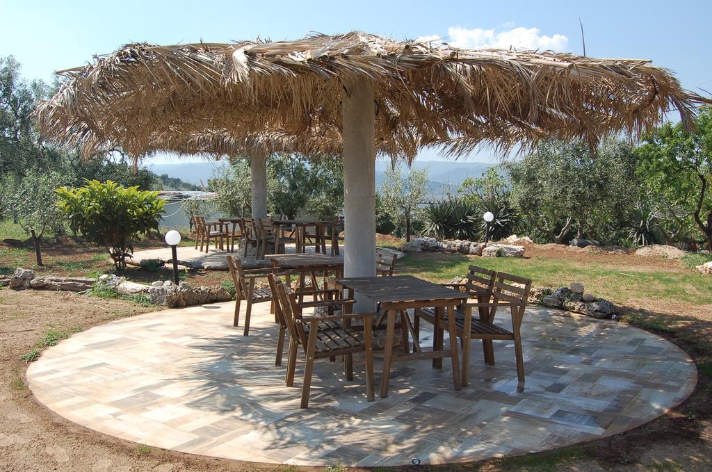 B&B Le Cicale Vieste Dış mekan fotoğraf